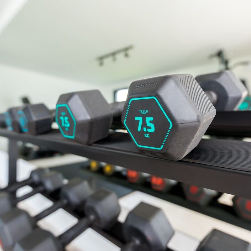 guadalmar-gym-4